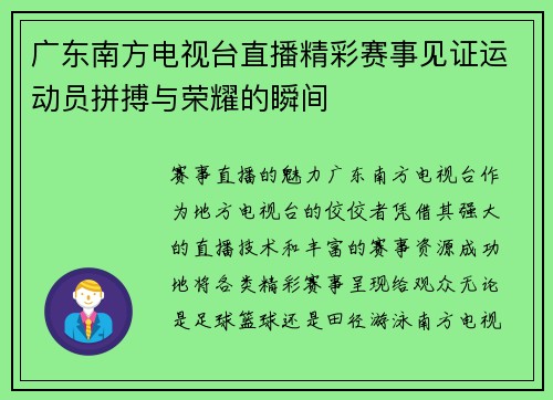 广东南方电视台直播精彩赛事见证运动员拼搏与荣耀的瞬间